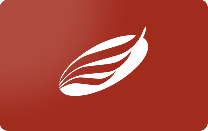 Karta Podarunkowa American Eagle